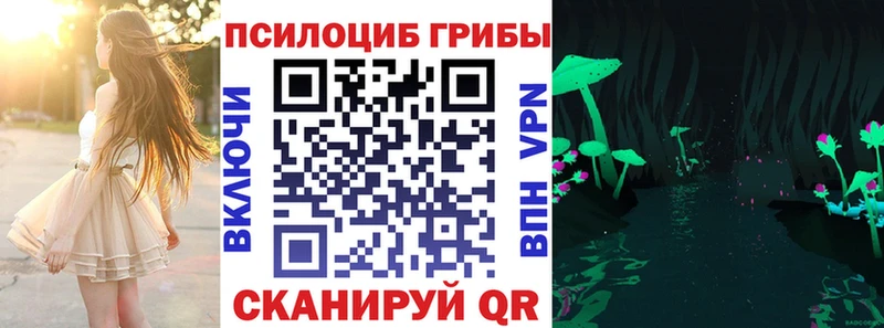 Купить  Меленки  Псилоцибиновые грибы Magic Shrooms 
